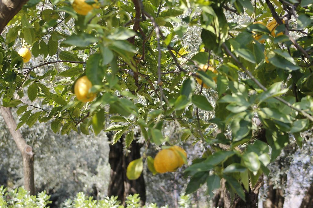 Ancelle Sorrento - Casa D'Accoglienza Hotel Castellammare di Stabia Kültér fotó