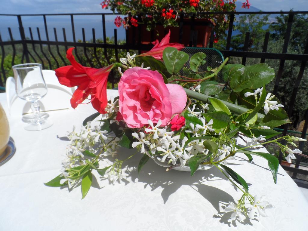 Ancelle Sorrento - Casa D'Accoglienza Hotel Castellammare di Stabia Kültér fotó